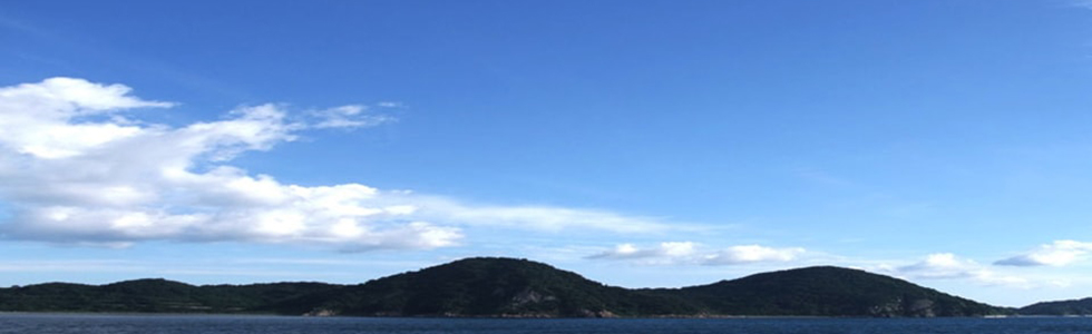 ALL卓球クラブの写真